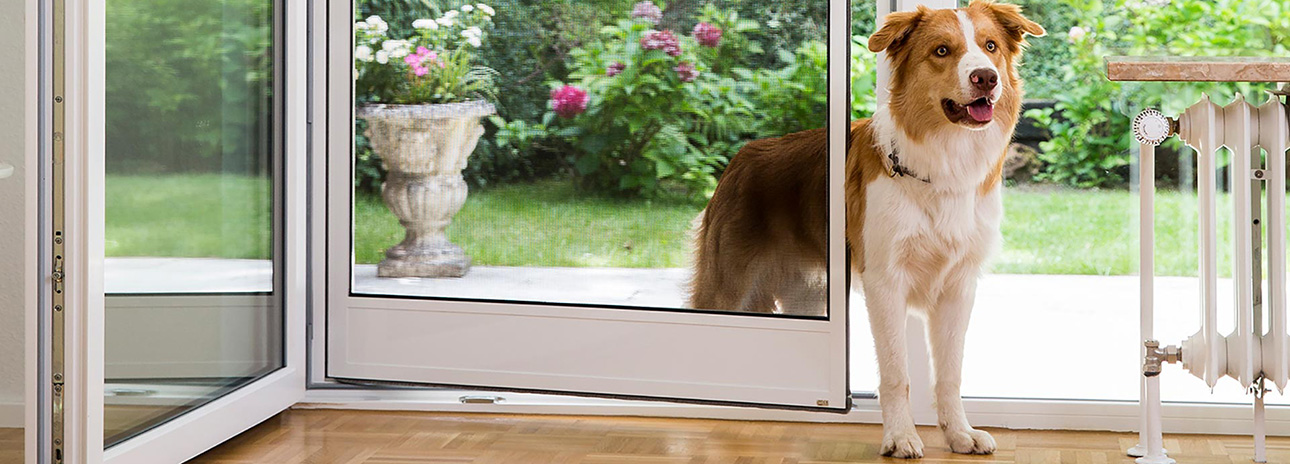 Homepage Fa. Werner Scheer GmbH: Startbild